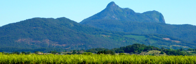 Mt Warning Helicopter Flight